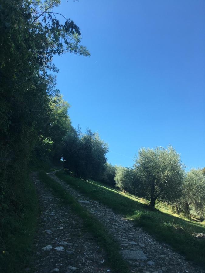 Villa San Regolino Whit Private Pool Radicondoli المظهر الخارجي الصورة