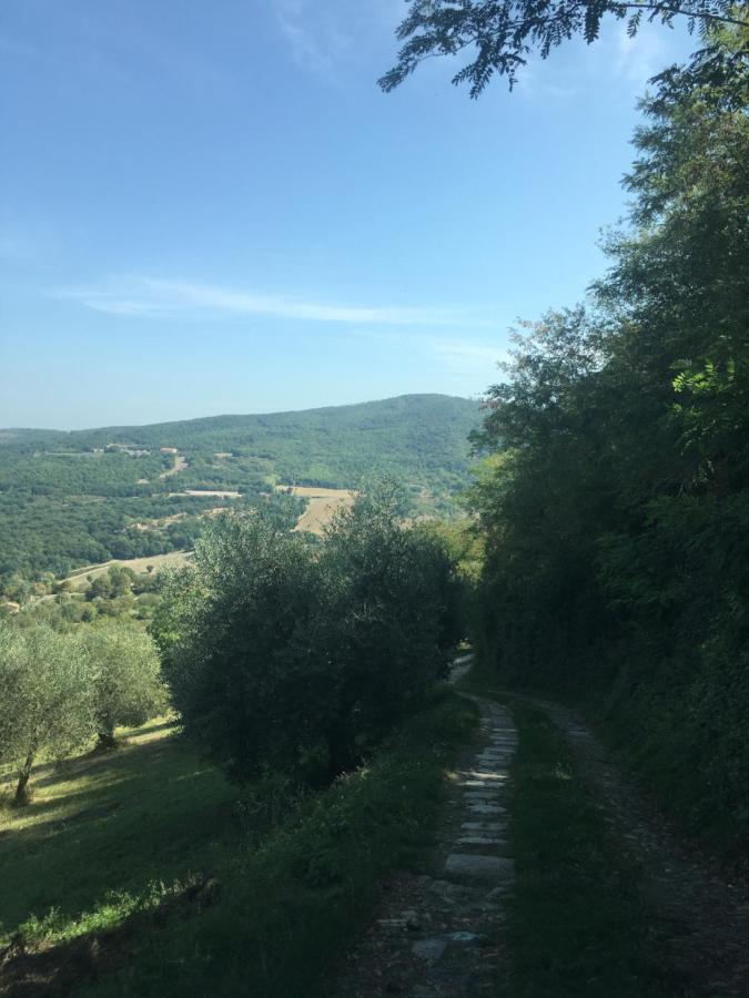 Villa San Regolino Whit Private Pool Radicondoli المظهر الخارجي الصورة