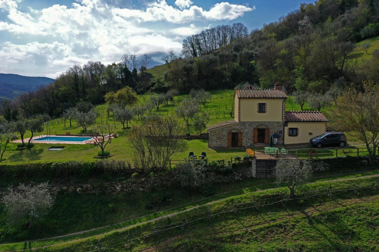 Villa San Regolino Whit Private Pool Radicondoli المظهر الخارجي الصورة