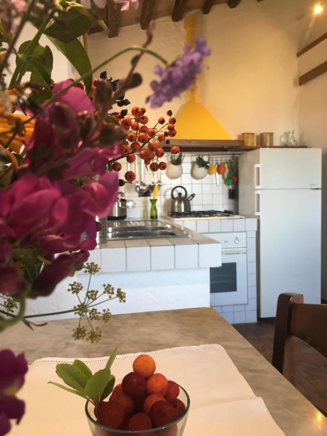 Villa San Regolino Whit Private Pool Radicondoli المظهر الخارجي الصورة